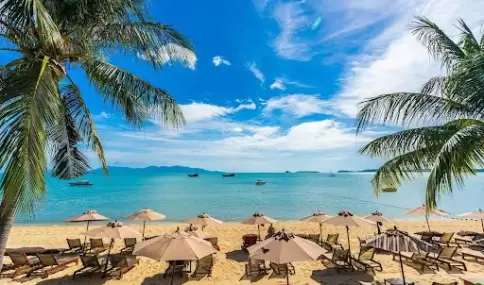 La Riviera Maya fusiona historia antigua, naturaleza exuberante y playas de ensue�o, en un combo que despierta todos los sentidos.
