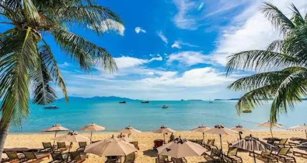 La Riviera Maya fusiona historia antigua, naturaleza exuberante y playas de ensue�o, en un combo que despierta todos los sentidos.