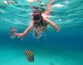 Fotos de stock gratuitas de actividad al aire libre, acu�tico, agua clara