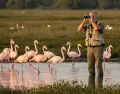 Las aves migratorias nos recuerdan que todos compartimos el mismo cielo.
