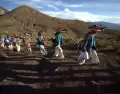 Ruta Huichol