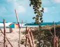 Puerto Escondido, un para�so en la costa del Pac�fico mexicano que combina surf, playas v�rgenes y cultura viva.