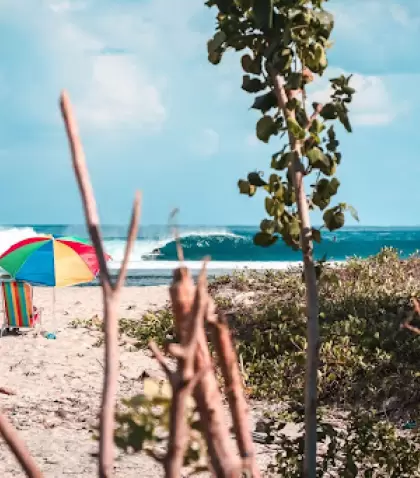 Puerto Escondido, un para�so en la costa del Pac�fico mexicano que combina surf, playas v�rgenes y cultura viva.
