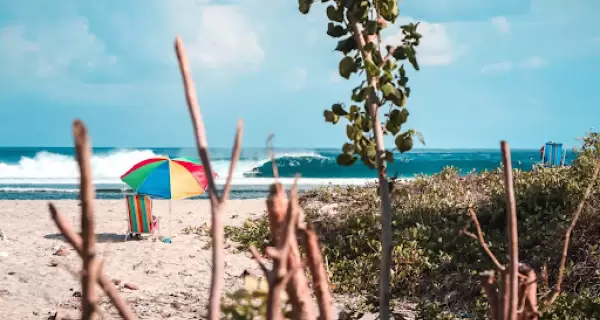 Puerto Escondido, un para�so en la costa del Pac�fico mexicano que combina surf, playas v�rgenes y cultura viva.