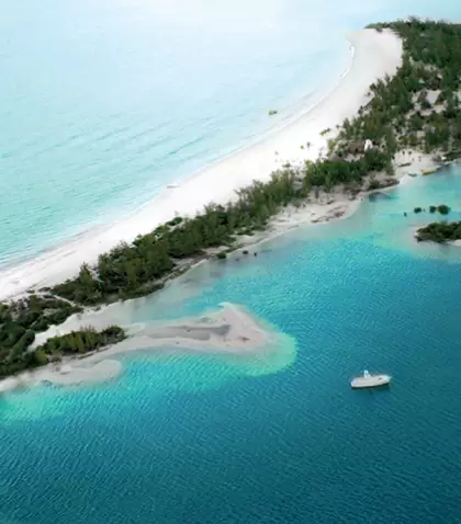 Arena blanca, palmeras y aguas tranquilas: Isla de la Pasi�n, una escapada perfecta cerca de Cozumel.