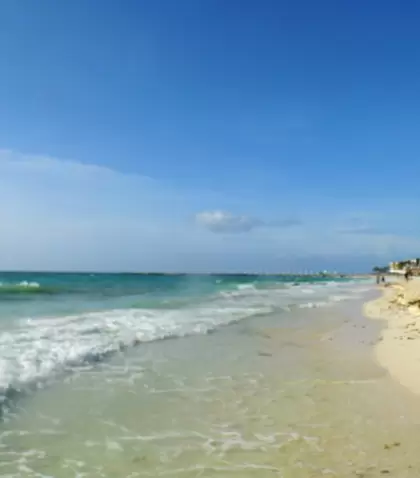 Camastros y ambiente premium frente al mar en Playa Mamitas, donde el glamour y la arena se encuentran.