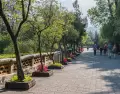 Chapultepec combina museos, �reas verdes y espacios culturales.