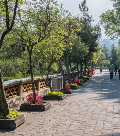 Chapultepec combina museos, �reas verdes y espacios culturales.