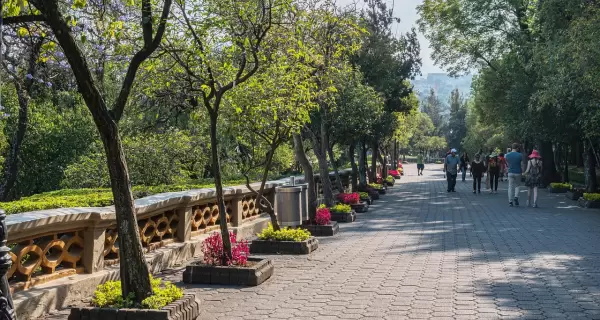 Chapultepec es el principal espacio verde de la ciudad.
