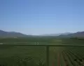 El Valle de Guadalupe es el coraz�n vitivin�cola de M�xico.