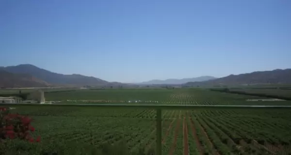 El Valle de Guadalupe es el coraz�n vitivin�cola de M�xico.