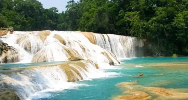 Agua Azul es uno de los paisajes naturales m�s emblem�ticos de Chiapas.