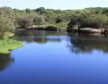 La Laguna de Coyuca ofrece un paisaje natural a pocos kil�metros de Acapulco.