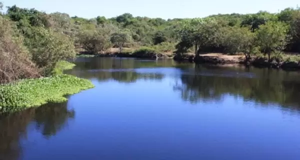 La Laguna de Coyuca ofrece un paisaje natural a pocos kil�metros de Acapulco.
