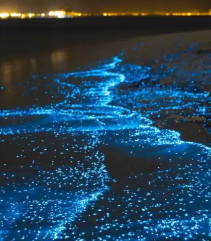 Cuando el Pac�fico se enciende, las aguas de Oaxaca brillan de noche, ofreciendo un espect�culo natural que parece sacado de otro mundo.