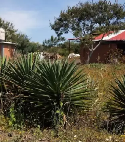 Escapadas rurales en M�xico en pueblo rodeado de bosque y monta�a.