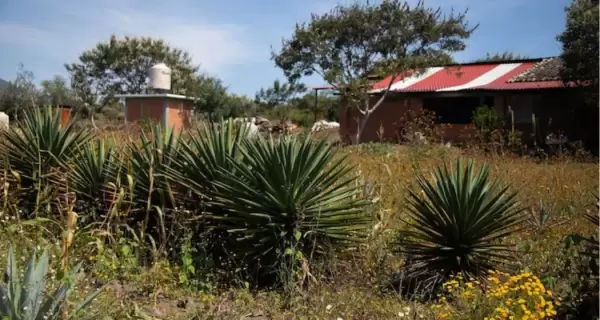 Escapadas rurales en M�xico en pueblo rodeado de bosque y monta�a.