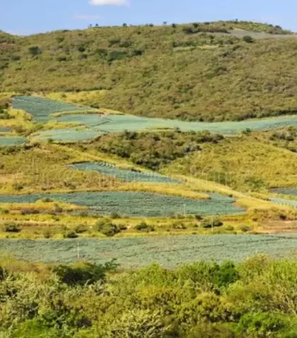 M�xico rural con paisaje de campo y pueblo peque�o entre monta�as.