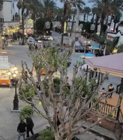 Viajes urbanos en M�xico con plaza y caf�s en ciudad hist�rica.