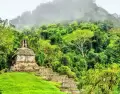 Selva Lacandona con ruinas mayas rodeadas de vegetaci�n intensa.