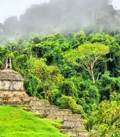 Selva Lacandona con ruinas mayas rodeadas de vegetaci�n intensa.
