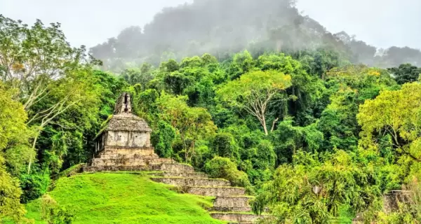 Selva Lacandona con ruinas mayas rodeadas de vegetaci�n intensa.