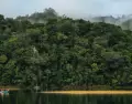Selva Lacandona en Chiapas: uno de los destinos m�s elegidos para visitar en vacaciones.