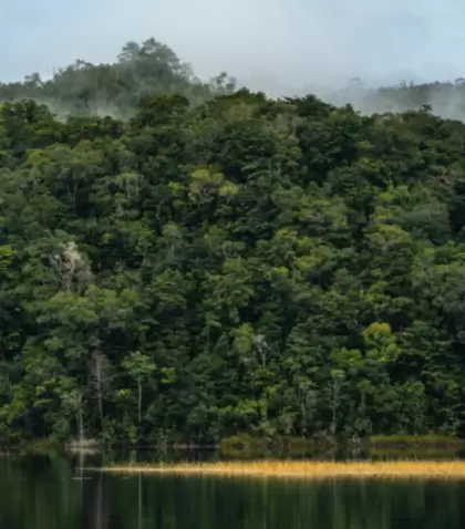 Selva Lacandona en Chiapas: uno de los destinos m�s elegidos para visitar en vacaciones.