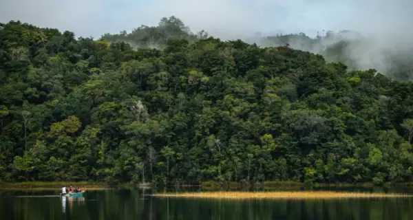 Selva Lacandona en Chiapas: uno de los destinos m�s elegidos para visitar por los turistas.