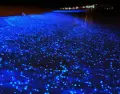 Destellos de bioluminiscencia iluminan el agua en la laguna de Manialtepec, cerca de Puerto Escondido.