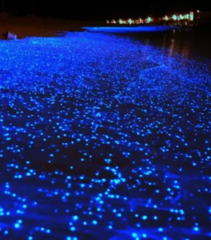 Destellos de bioluminiscencia iluminan el agua en la laguna de Manialtepec, cerca de Puerto Escondido.