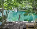 Cenote Carwash: un destino amplio, con agua tranquila y rodeado de vegetaci�n.
