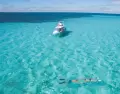 Playas con agua cristalina que valen la pena visitar en Cozumel.