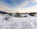 Cuatro Ci�negas, un destino donde las dunas de yeso deslumbran a cada paso.