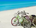 Recorrer la Riviera Maya en bicicleta es una forma pr�ctica y sustentable de moverse.