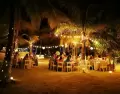 Tulum cambia de pulso: entre la selva y el mar, la m�sica, las luces y la energ�a nocturna revelan su faceta m�s vibra.