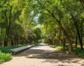 En Ciudad de M�xico, mayo invita a disfrutar el Bosque de Chapultepec con clima ideal y paseos al aire libre.