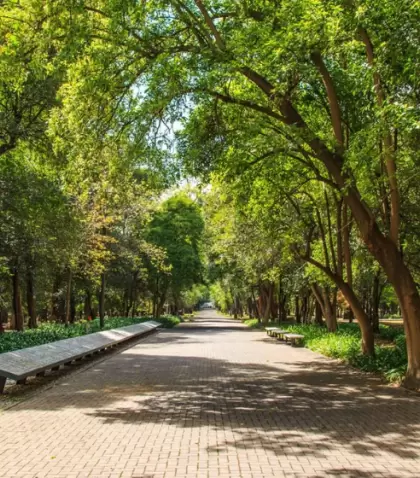 En Bosque de Chapultepec, mayo invita a disfrutar la naturaleza y el ambiente relajado en uno de los espacios verdes m�s emblem�ticos de la ciudad.