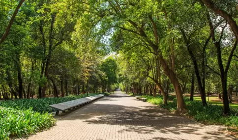 En Ciudad de M�xico, mayo invita a disfrutar el Bosque de Chapultepec con clima ideal y paseos al aire libre.