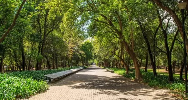 En Ciudad de M�xico, mayo invita a disfrutar el Bosque de Chapultepec con clima ideal y paseos al aire libre.