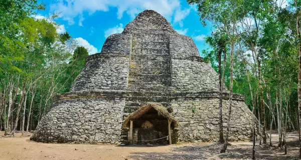 En Zona Arqueol�gica de Cob�, la selva envuelve antiguos caminos y ruinas mayas, creando un recorrido �ntimo entre historia y naturaleza.