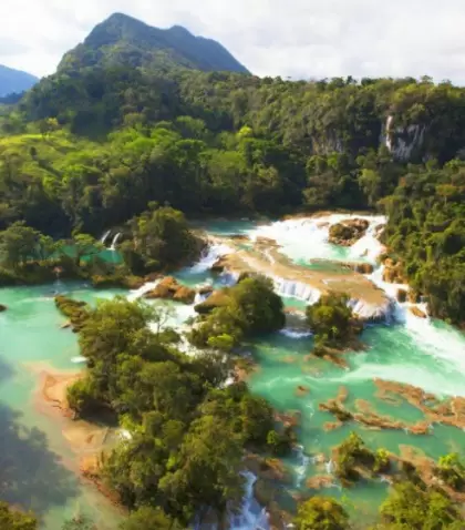 En Selva Lacandona, la vegetaci�n exuberante y los sonidos de la naturaleza envuelven cada recorrido en una experiencia tan intensa como aut�ntica.