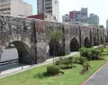 Avenida Chapultepec mezcla vida urbana, cultura y movimiento en uno de los corredores m�s vibrantes de Ciudad de M�xico.