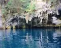 El cenote Yokdzonot ofrece aguas cristalinas y un entorno natural que conserva la esencia m�s tranquila de Yucat�n.