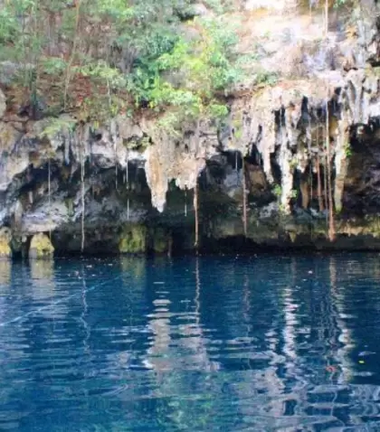 El cenote Yokdzonot ofrece aguas cristalinas y un entorno natural que conserva la esencia m�s tranquila de Yucat�n.