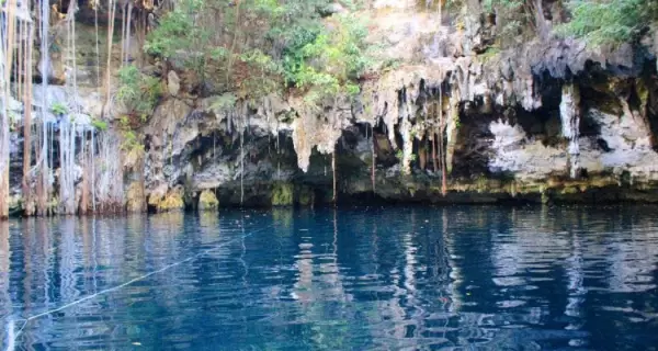 El cenote Yokdzonot ofrece aguas cristalinas y un entorno natural que conserva la esencia m�s tranquila de Yucat�n.