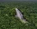 Nohoch Mul se eleva entre la selva como una de las estructuras mayas m�s imponentes de la regi�n.
