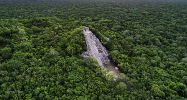 Nohoch Mul se eleva entre la selva como una de las estructuras mayas m�s imponentes de la regi�n.