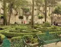 El Jard�n Centenario conserva el esp�ritu tradicional de Coyoac�n entre fuentes, �rboles y vida cotidiana.