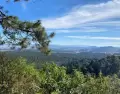 Nanacamilpa es conocido por sus bosques y el espect�culo natural de las luci�rnagas, una experiencia �nica en M�xico.